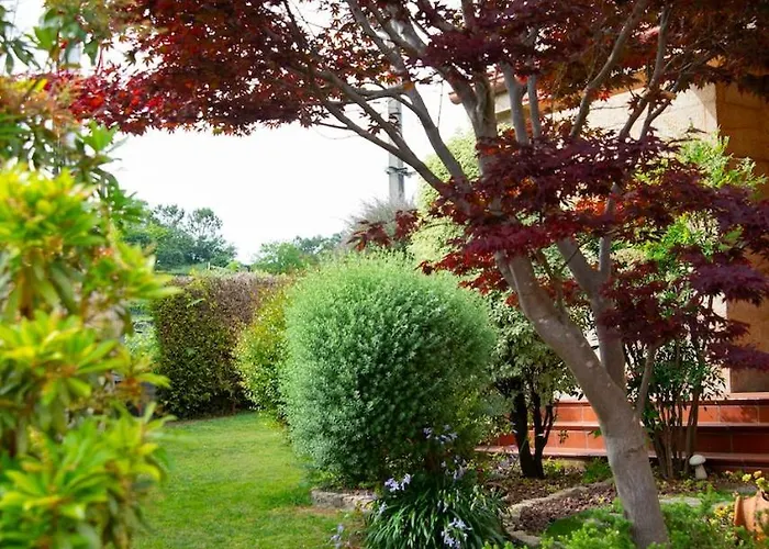 Welcome O Sidron Alba (Pontevedra)